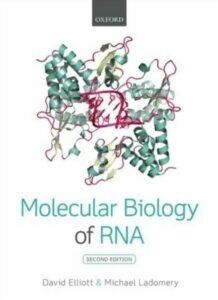 Book cover of Molecular Biology of RNA